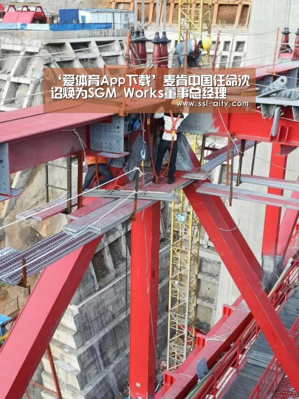 ‘爱体育App下载’麦肯中国任命沈诏焕为